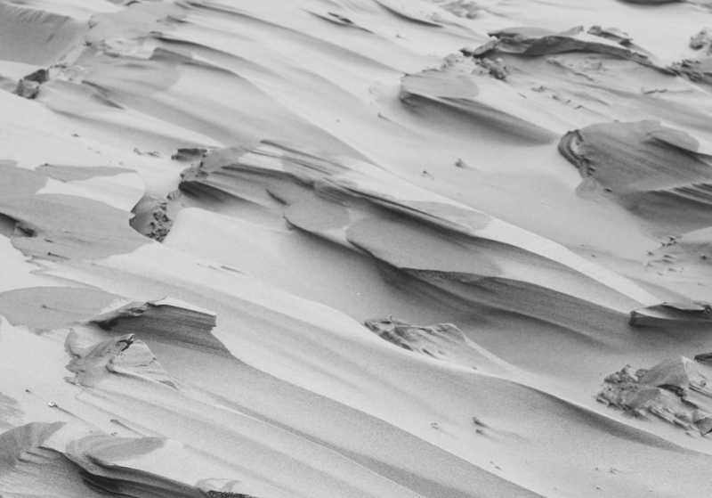 Lelki Egészségvédő Alapítvány